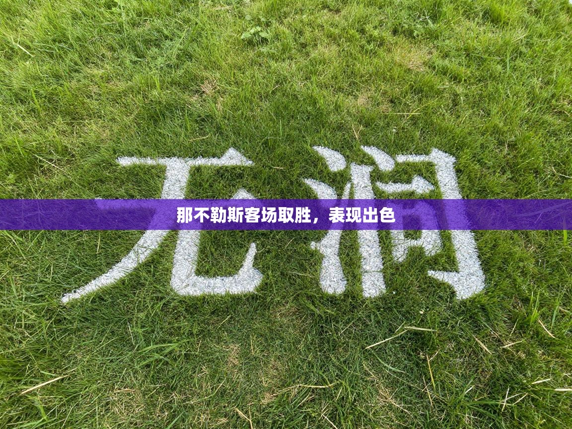 那不勒斯客场取胜，表现出色  第1张