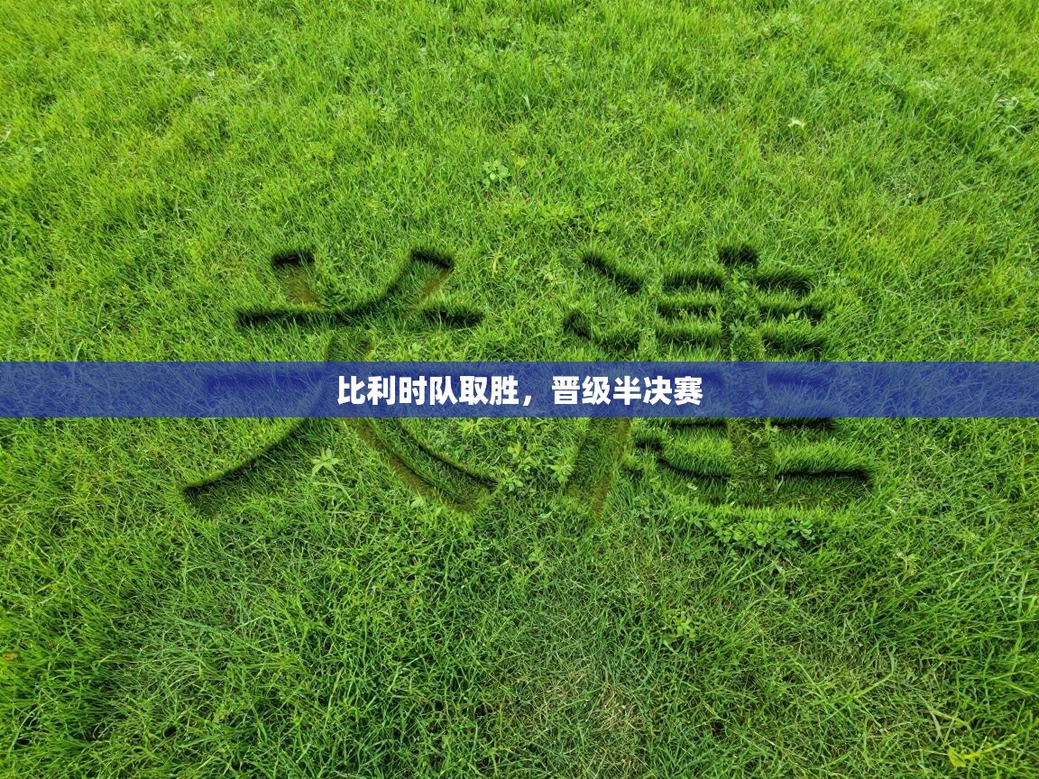 比利时队取胜，晋级半决赛  第1张