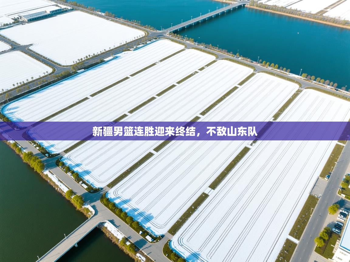 新疆男篮连胜迎来终结，不敌山东队  第1张