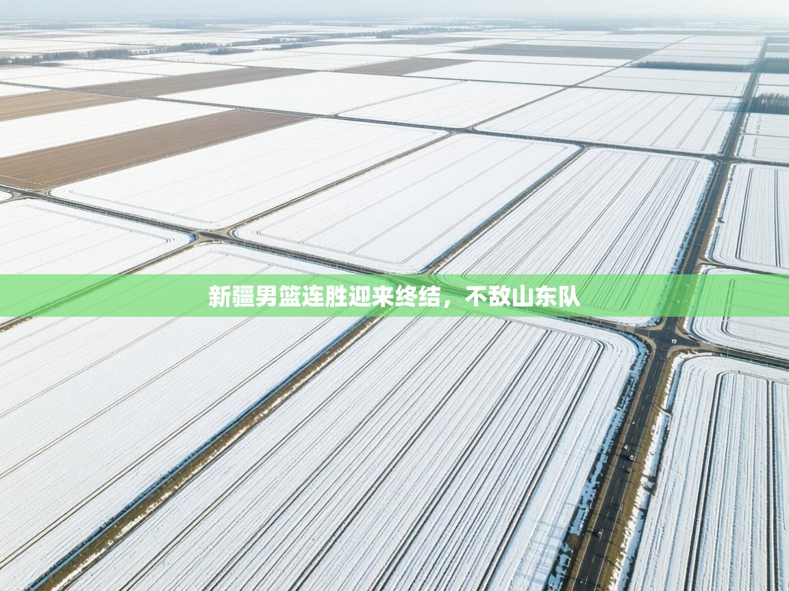 新疆男篮连胜迎来终结，不敌山东队  第2张