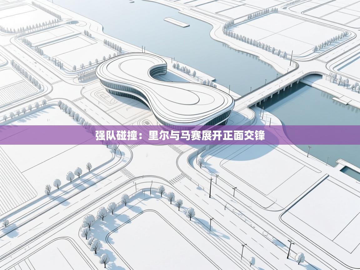 强队碰撞：里尔与马赛展开正面交锋  第1张