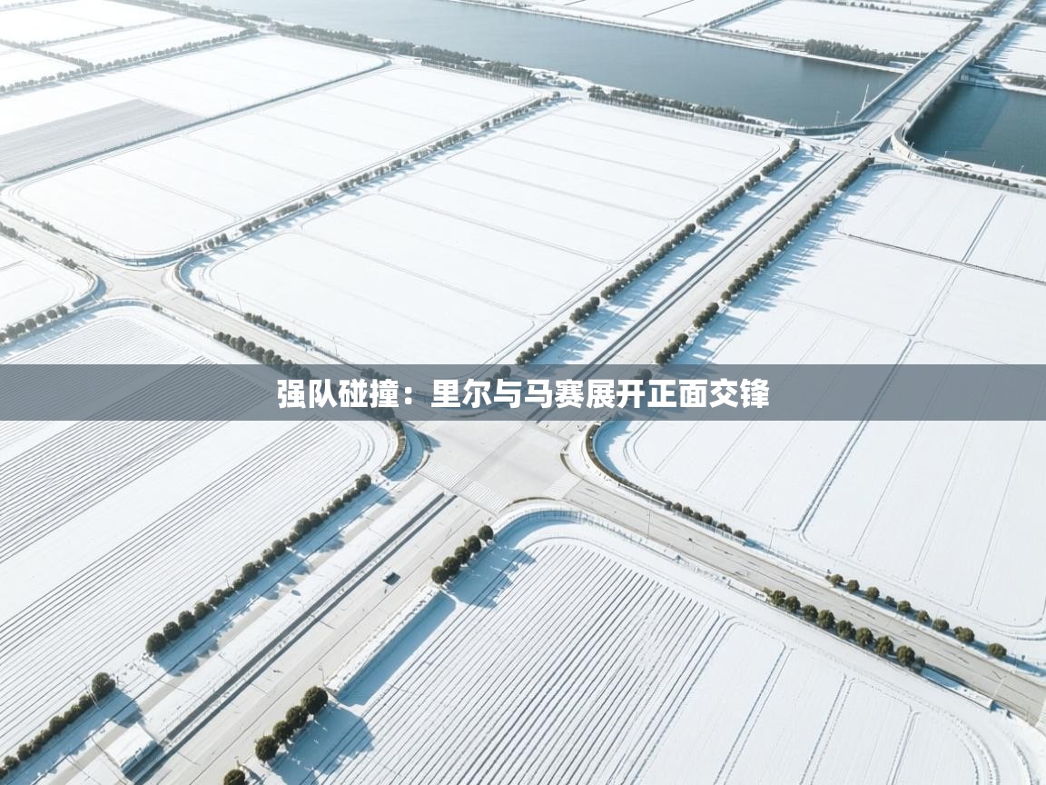 强队碰撞：里尔与马赛展开正面交锋  第2张