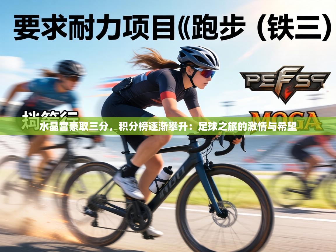 水晶宫豪取三分,积分榜逐渐攀升:足球之旅的激情与希望 第1张